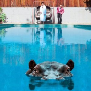 Sparks-hippopotamus