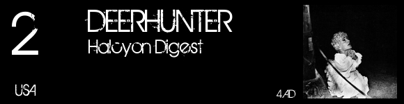 top2010-02-deerhunter