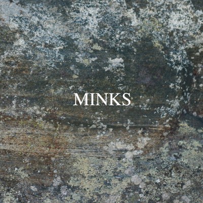 Minks – By The Hedge – Shoegaze twee-pop !