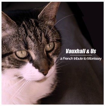 Vauxhall and Us, hommage french pop très réussi à Morrissey