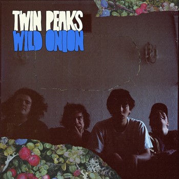 Twin Peaks, le groupe de Chicago qui va nous faire l’été 2014