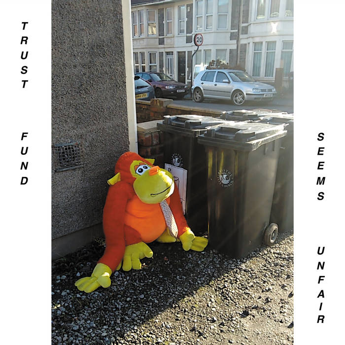 A gagner : 1 vinyle de Trust Fund – « Seems Unfair »