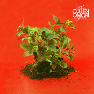 cullen-omori-new-misery