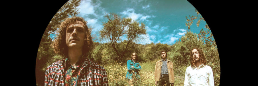 Triptides - Can't you See