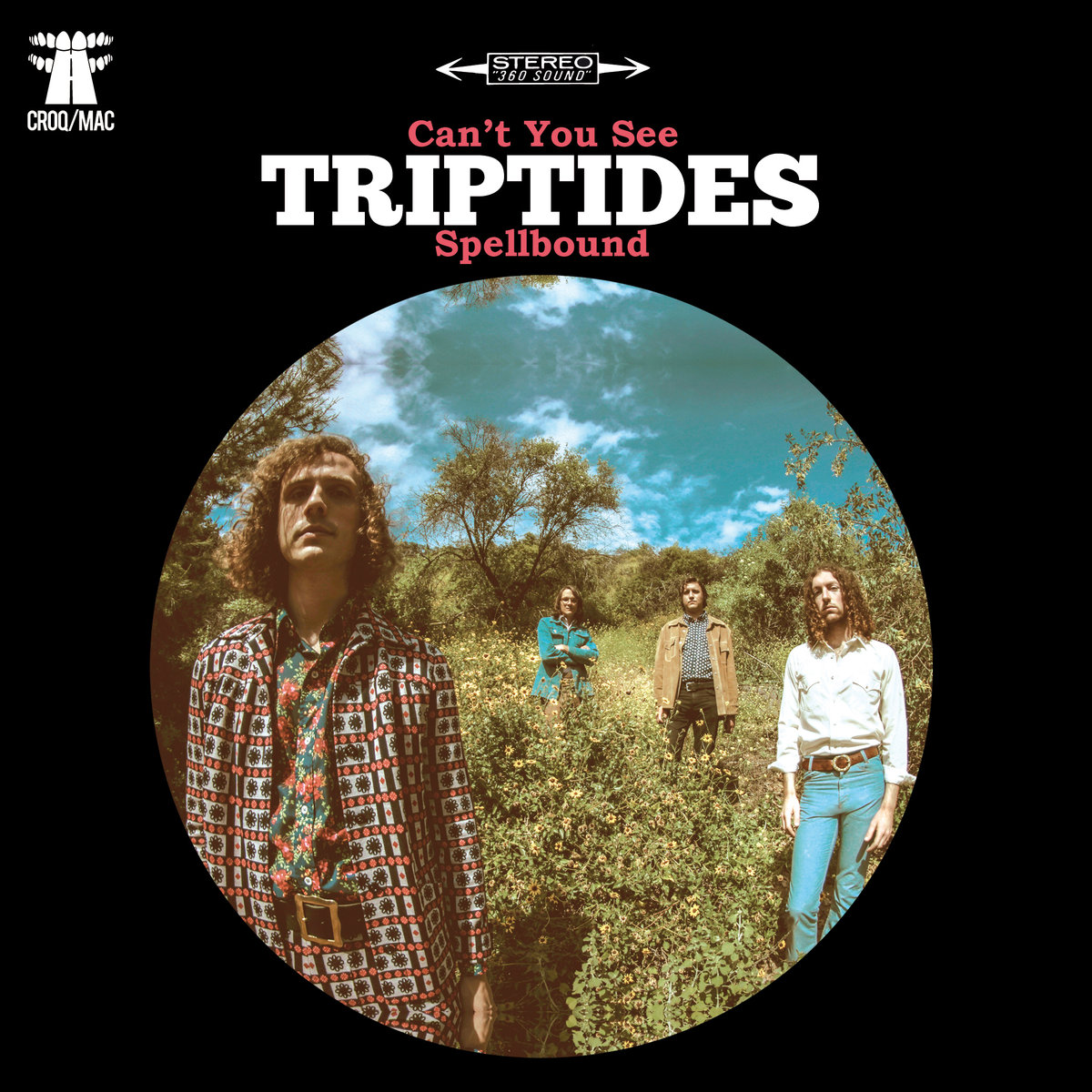 Triptides - Can't you See