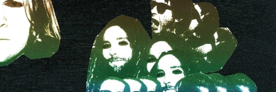 ty segall freedoms goblin