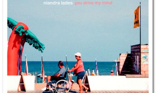 Niandra Lades You Drive My Mind