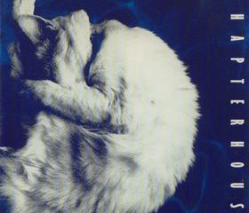 Chapterhouse-Whirlpool-album-shoegaze