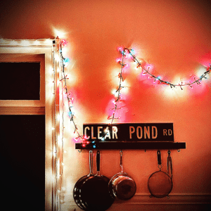 Kristin_Hersh_-_Clear_Pond_Road